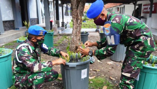 Wujudkan Ketahanan Pangan, Prajurit Yon POM 2 Mar Lakukan Budikdamber