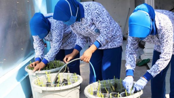 Jalasenastri Ranting G Yon POM 2 Mar Budidaya Sayur dan Budikdamber