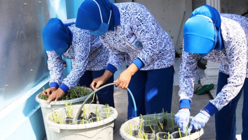 Jalasenastri Ranting G Yon POM 2 Mar Budidaya Sayur dan Budikdamber