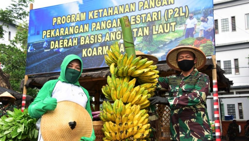 Upaya Koarmada II Dukung Program Ketahanan Pangan di Tengah Pandemi
