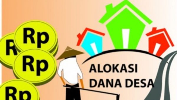 Parah.. Pendamping Desa Belum Maksimal, Begini Kata Kadis P3A dan Pemdes