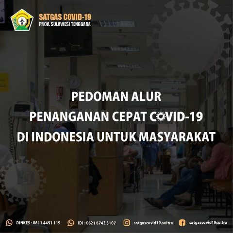 Info Grafik Alur Penanganan Corona di Sulwesi Tenggara