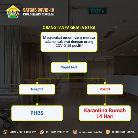 Info Grafik Alur Penanganan Corona di Sulwesi Tenggara