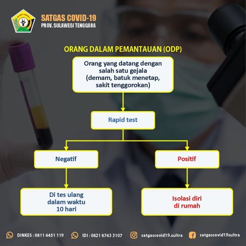 Info Grafik Alur Penanganan Corona di Sulwesi Tenggara