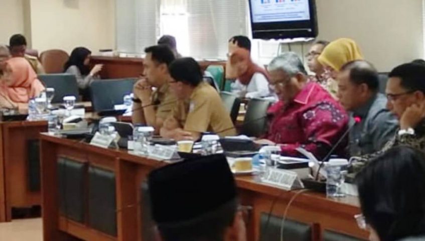 Gubernur Sultra Jadi Narasumber RDP Umum Komite I DPD RI