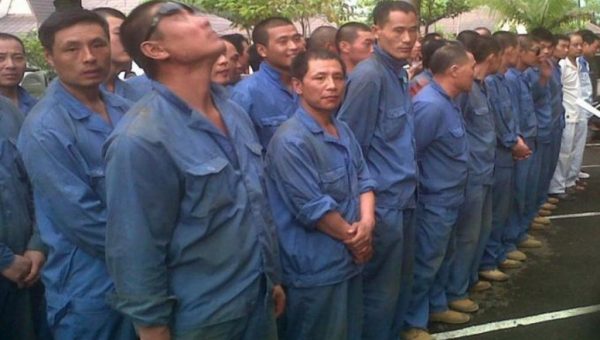 ﻿TKA Tambang di Bombana Dijemput Paksa