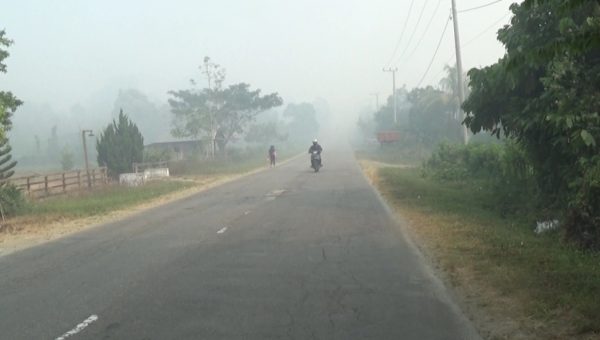 Empat Kecamatan di Koltim Diselimuti Asap Kebakaran Lahan