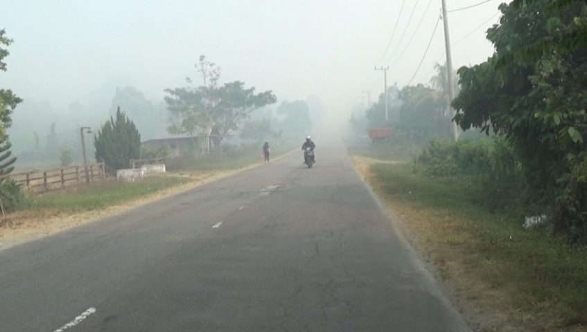 Empat Kecamatan di Koltim Diselimuti Asap Kebakaran Lahan
