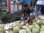 Penjula kelapa Muda di kabupaten kolaka raup keuntungan di bulan suci ramadhan ini. FOTO : ASDAR LANTORO