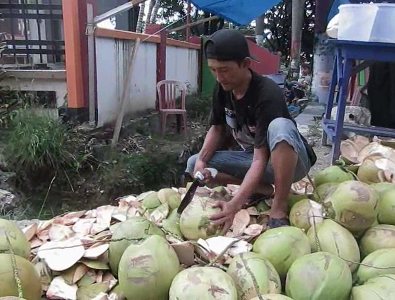 Penjula kelapa Muda di kabupaten kolaka raup keuntungan di bulan suci ramadhan ini. FOTO : ASDAR LANTORO