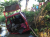 sebuah Minibus nyempulung di sungai. di duga mobil tersebut mengangkut ternak sapi curian. FOTO : ASL