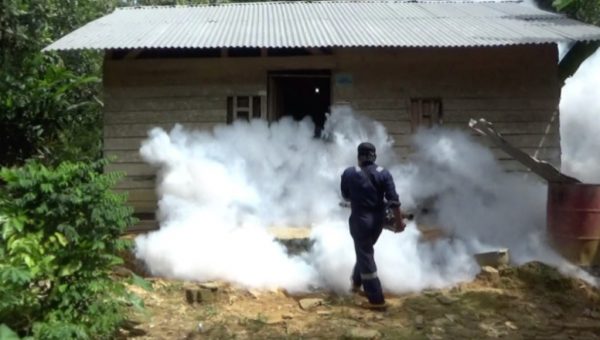 Aedes Aegypti Mulai Menyerang Kendari, Dinkes Lakukan Fogging ﻿