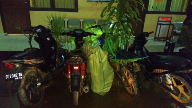 Tiga Tersangka Curanmor Diamankan Timsus Polres Konawe