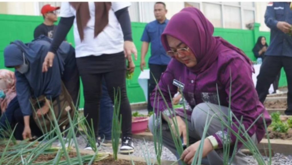 "Kendari Berkebun", Kemandirian Pangan, Mengendalikan Inflasi dengan Sentuhan Lestari