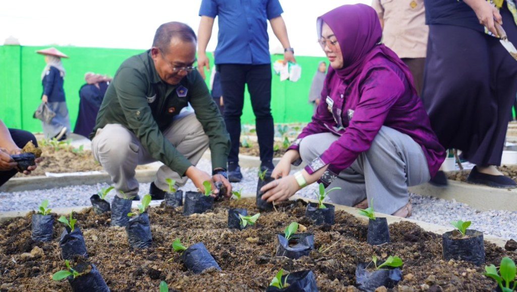 "Kendari Berkebun", Kemandirian Pangan, Mengendalikan Inflasi dengan Sentuhan Lestari