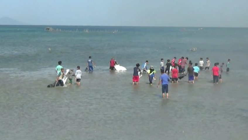 Pemda Kolaka Bersih-Bersih Pantai dan Laut