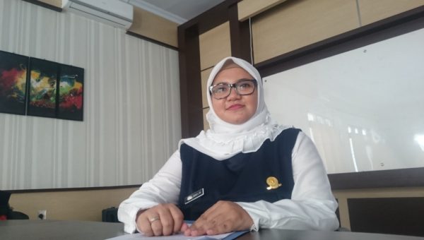 Sepanjang 2017, Sultra Diguncang Gempa Bumi Sebanyak 223 Kali