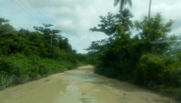 Abu Hasan. Pak Gubernur, Buton Utara Juga Butuh Perhatian