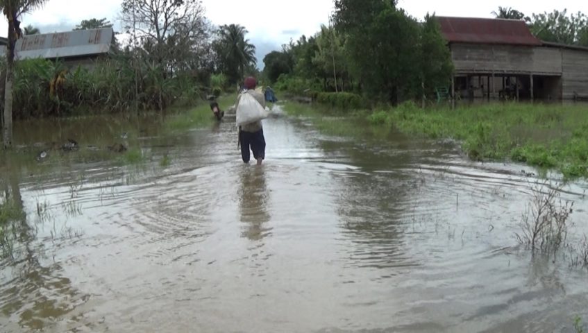 Banjir, Ratusan Hektar Lahan Perkebunan di Kolaka Timur Terendam