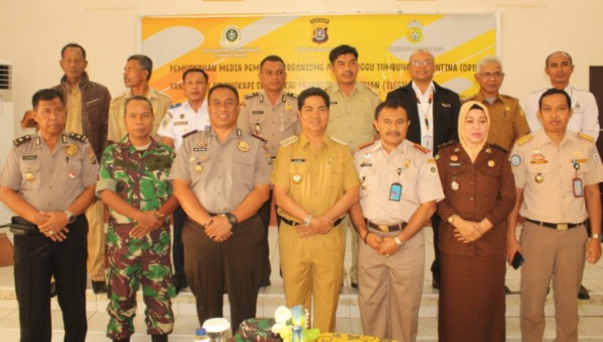 Buton Dapat Bantuan Bibit Kelapa dan Jambu Mete