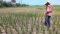 Terdakwa Korupsi Cetak Sawah di Muna Divonis 2 Tahun Penjara