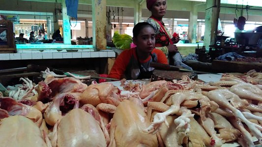 Bulan Puasa tau ramadhan belum tiba, tetapi penjual dagimng lebih dulu menaikan harganya, seperti di pasar satu jepara ini. FOTO : DSW