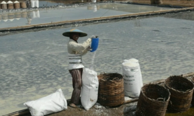 Akibat Cuaca Kurang Menentu Produksi Garam Menurun