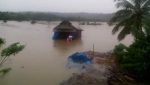 Akibat Banjir Ratusan Ton Gabah Rusak