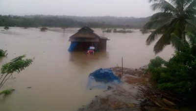 Akibat Banjir Ratusan Ton Gabah Rusak