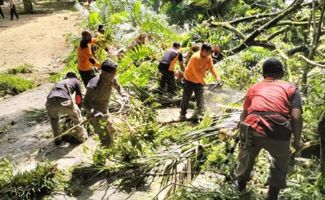 Pemkot Tebang Pohon Pastikan Kenyamanan Jamaah Masjid Al Kautsar