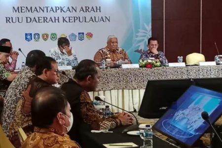 Gubernur Ali Mazi Hadiri Diskusi Pemantapan RUU Daerah Kepulauan