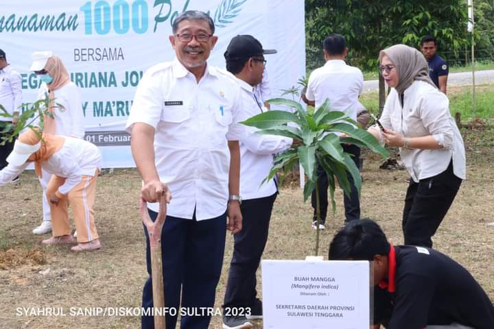 Penanaman pohon