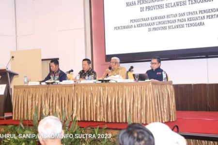 Gubernur Ali Mazi Diskusi Tambang Nikel Bersama DPR