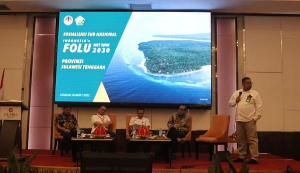 Indonesia's Folu Sink 2030