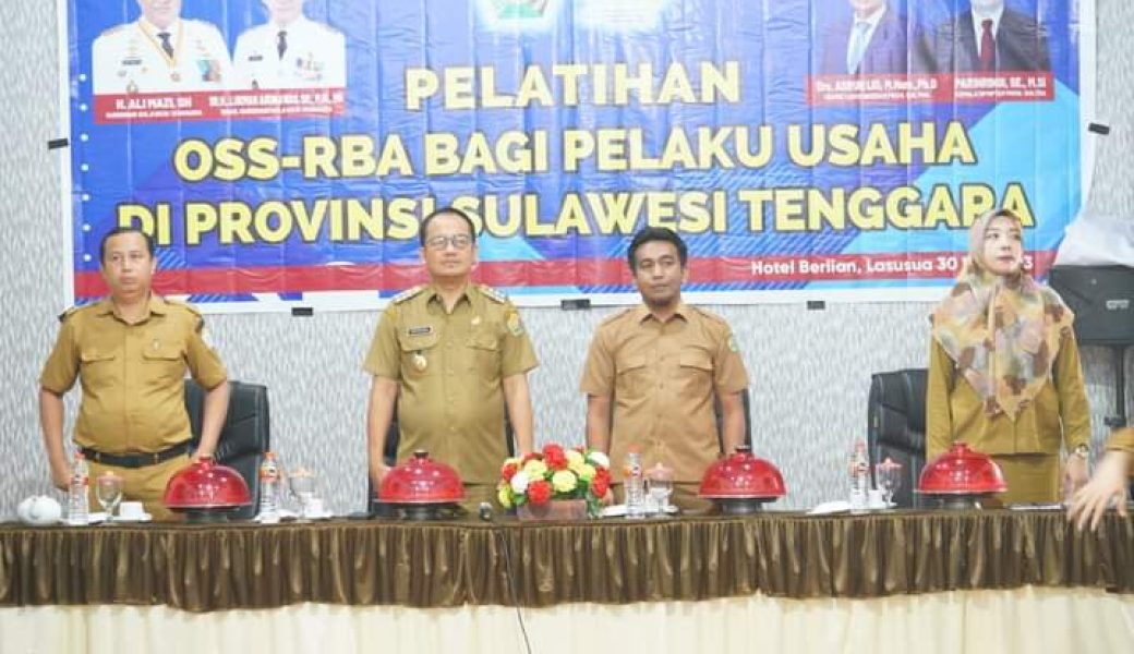 DPMPTSP Sultra Gelar Pelatihan OSS RBA di Kolaka Utara