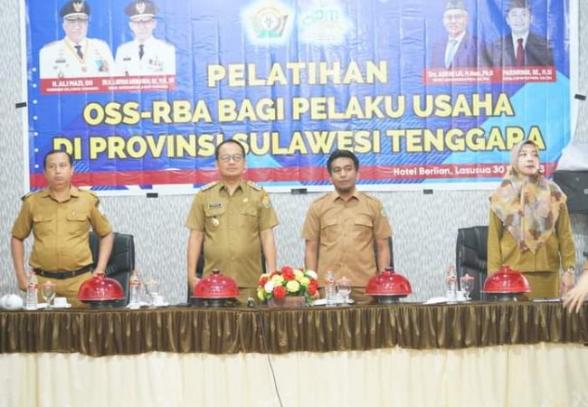 DPMPTSP Sultra