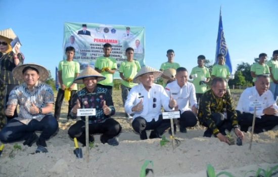 Dukung Ketahanan Pangan, LPKA Kendari Panen Jagung dan Sayuran
