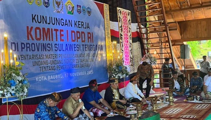 Otonomi Daerah Sultra di Persimpangan Regulasi dan Pengurangan TKD 2026