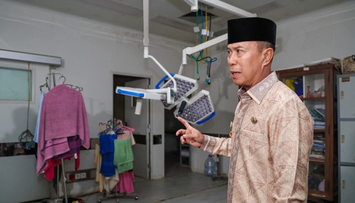 Gubernur Sultra