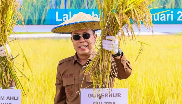 Gubernur Andi Sumangerukka Panen Perdana dan Bagikan Benih ‘Sanggoleo’ di Konawe