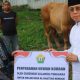 Gubernur Sultra Ajak Masyarakat Maknai Iduladha untuk Memperkuat Kepedulian Sosial