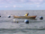 petani rumput laut di Tinanggea ini terancam kehilangan pekerjaan, setelah laut tempat membudidaya rumput laut tercemar oleh kegiatan pertambangan PT baula Petra Buana. FOTO : LAN