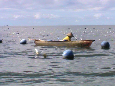 petani rumput laut di Tinanggea ini terancam kehilangan pekerjaan, setelah laut tempat membudidaya rumput laut tercemar oleh kegiatan pertambangan PT baula Petra Buana. FOTO : LAN