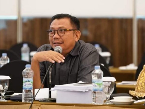 Ada Kendala Revisi Perda RTRW, Pansus DPRD Sultra Ungkap Penyebabnya