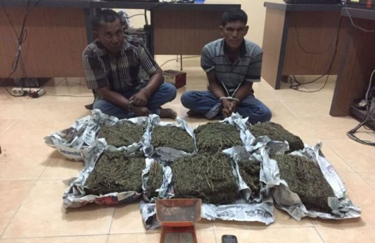 Dua Tersangka Ini Ditangkap Polisi Diduga Menyimpan Ganja