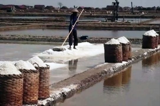 Petani garam di jepara saat ini kurang maksimal hasilmnya, sehingga sejumlah daerah mengalami kekurangan dan mahalnya harga garam. FOTO : DOK TEGAS