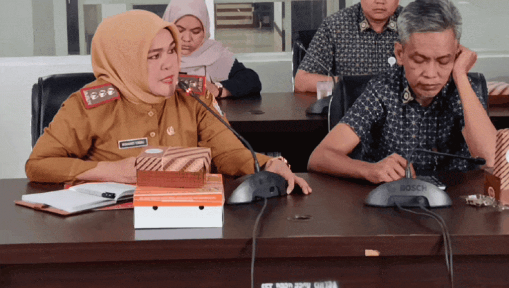 Mananti Hasil Investigasi BPRS, Apakah RS Hermina dan BPJS Kesehatan Kendari Bersalah