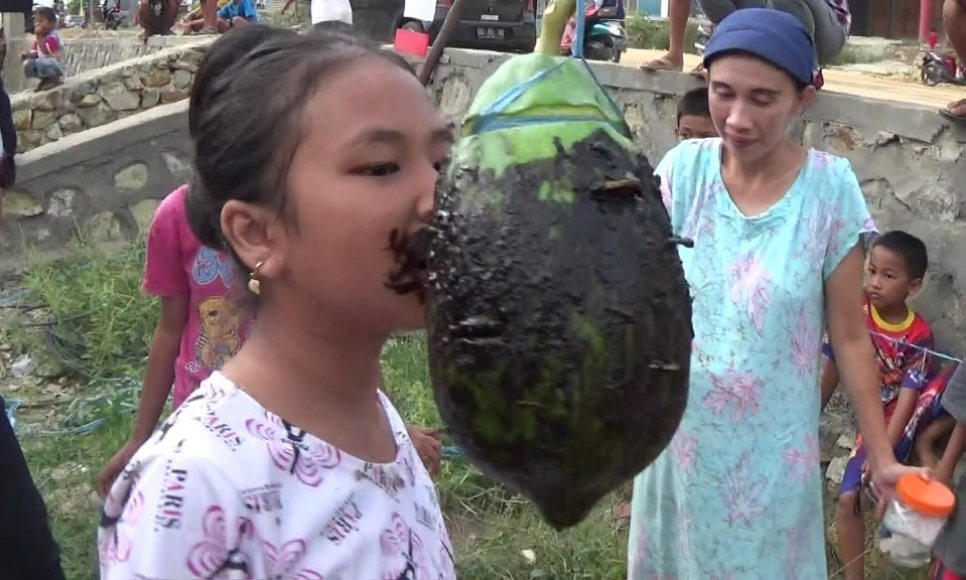 Salah satu anak dari peserta lomba yang berusaha melepas koin dari buah pepaya yang dilumuri minyak dan kopi. FOTO : ASDAR LANTORO