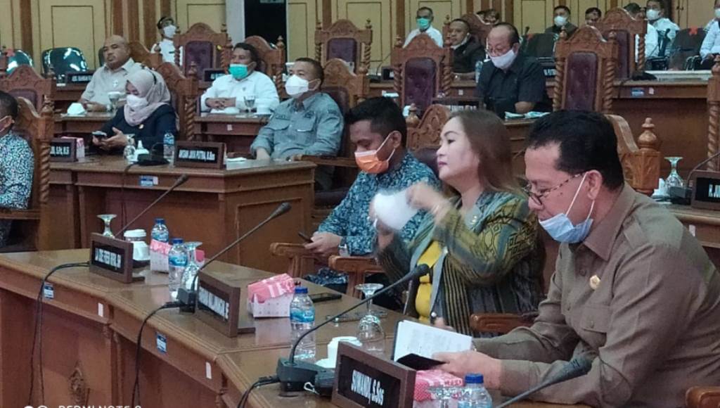 DPRD Sulltra Apresiasi Dishub Sultra Gagas Tol Laut Buton-Wakatobi