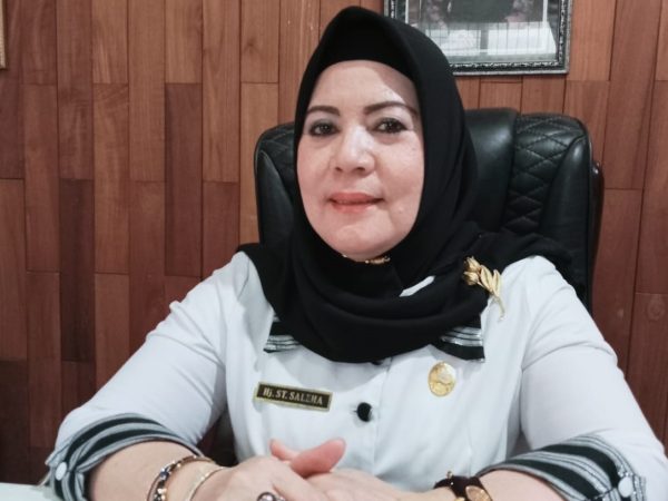 Disperindag Dorong Daya Saing Produk Lokal Lewat One Village One Product